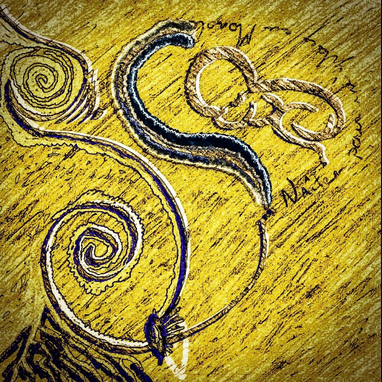 Malik duranty design